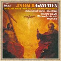 J.S. Bach: Ach wie flüchtig, ach wie nichtig, Cantata BWV 26 - V. "Die höchste Herrlichkeit und Pracht"