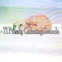 71 Purely Calming Sounds