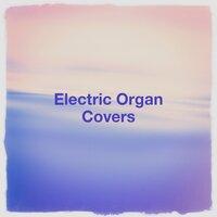 Electric Organ Covers