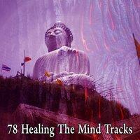 78 Healing the Mind Tracks
