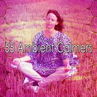 55 Ambient Calmers