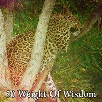 50 Weight of Wisdom