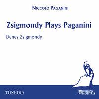 Zsigmondy Plays Paganini