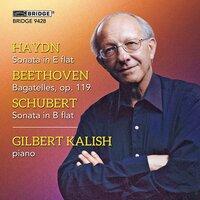 Haydn, Beethoven & Schubert: Piano Works