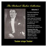 The Richard Tauber Collection, Vol. 2: Tauber sings Tauber (1924-1937)