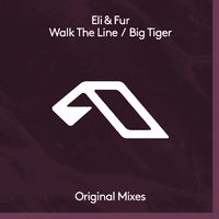 Walk The Line / Big Tiger
