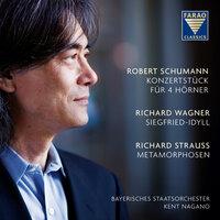 Schumann: Concertstück - Wagner: Siegfried Idyll - Strauss: Metamorphosen