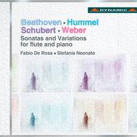 Beethoven, Hummel, Schubert & Weber: Sonatas and Variations for flute and piano
