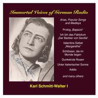 Karl Schmitt-Walter, Vol. 1: Opera, Operetta and Song