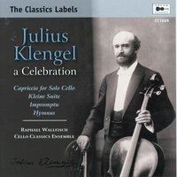 Julius Klengel & Others: Cello Works