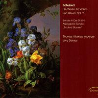 Schubert: Die Werke für Violine und Klavier, Vol. 2