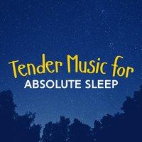 Tender Music for Absolute Sleep