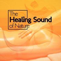 The Healing Sound of Nature