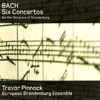 Brandenburg Concerto No. 3 in G Major, BWV 1048: II. [Adagio]