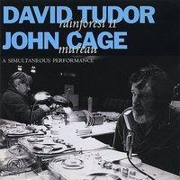 David Tudor/John Cage: Rainforest II/Mureau