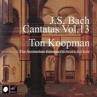 J.S. Bach: Cantatas Vol. 13