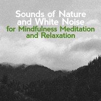 Sounds of Nature and White Noise for Mindfulness, Meditation and Relaxation