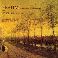 Brahms: Complete Cello Sonatas Plus Intermezzi, Op. 117, And Trio In A Minor, Op. 114