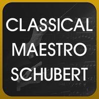 Classical Maestro Schubert