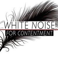 White Noise for Contentment