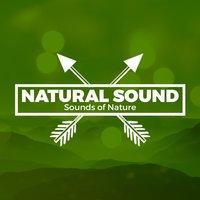 Natural Sound Sounds of Nature