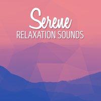 Serene Relaxation Sounds