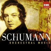 Schumann - 200th Anniversary Box - Orchestral