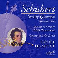 Schubert String Quartets Vol. 2