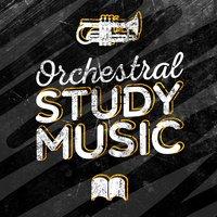 Orchestral Study Music