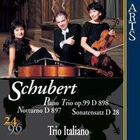 Piano Trio In B Flat Op. 99 D 898: I. Allegro Moderato