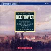 Beethoven: Triple Concerto, Gassenhauer Trio, Kakadu Variations