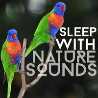 Sleep with Nature Sounds