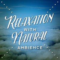 Relaxation with Natural Ambience