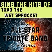 Sing the Hits of Toad the Wet Sprocket