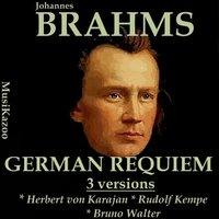 Brahms, Vol. 9 : German Requiem