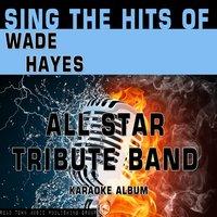 Sing the Hits of Wade Hayes