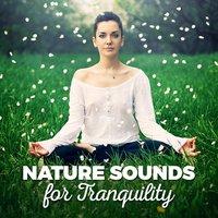Nature Sounds for Sleep and Relaxation