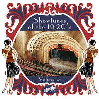 Show Tunes of the 1920's Vol. 3