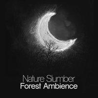 Nature Slumber: Forest Ambience
