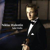 Niklas Walentin