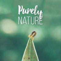Purely Nature