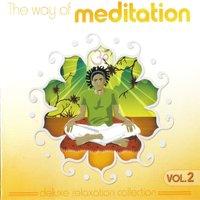 The Way Of Meditation Vol. 2