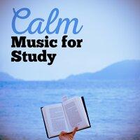 Спокойная музыка для учёбы