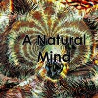 A Natural Mind