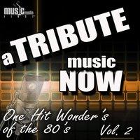 A Tribute Music Now: One Hit Wonder's of the 80's, Vol. 2