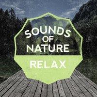 Sounds of Nature Relax