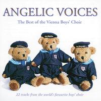 The Best of the Vienna Boys' Choir