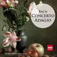 Concerto Adagio: Bach