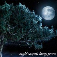 Night Sounds Brings Peace