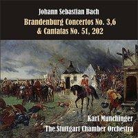 Bach: Brandenburg Concertos No. 3,6 & Cantatas No. 51, 202
